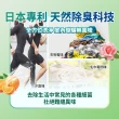 【白帥帥】速酵洗衣精1650gx6包x2箱(澄淨柚香/薔薇芬芳 任選)