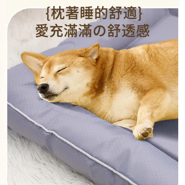 【BaoBay】牛津布防水防潮寵物睡墊 50*35CM 寵物涼感墊 貓狗軟床墊 寵物床墊 貓窩(四季通用)