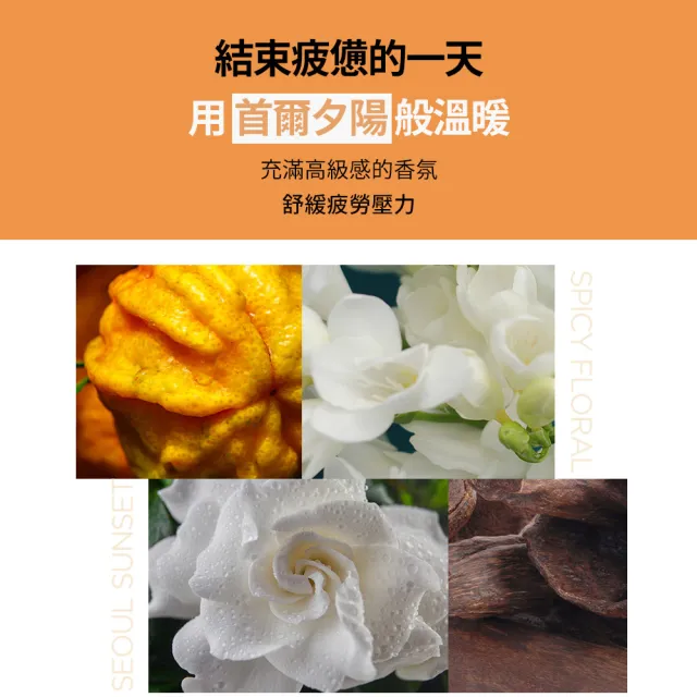 【RYO 呂】官方直營 強韌髮根香氛護髮髮膜 200ml x2入(首爾夕陽/濟州微風/麟蹄林間/襄陽波濤)