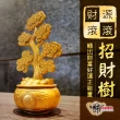 【財神小舖】錢轉八方 黃金招財樹(已開光 開運招財 聚財鎮財 財運)