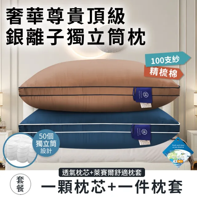 【Hilton 希爾頓】奢華尊貴頂級銀離子純萊賽爾100支紗獨立筒枕/二入組/二色任選(枕芯x2+枕套x2/枕頭)