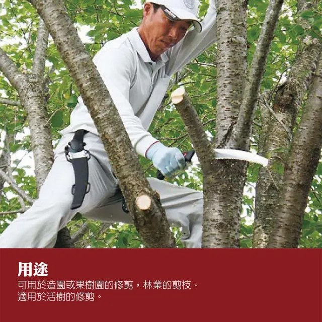 【Silky 喜樂】彎鋸 240mm修枝鋸270-24(鋸子 彎鋸 木工 接木鋸 日本鋸子 剪定鋸 修枝鋸 樹枝修剪)
