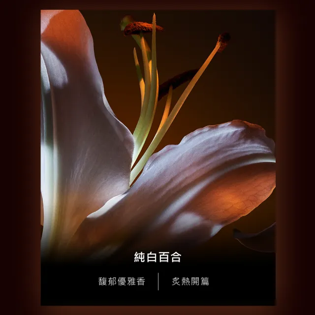 【YSL】官方直營自由不羈 恣意燃花淡香精 90ML(奔放花草香調)
