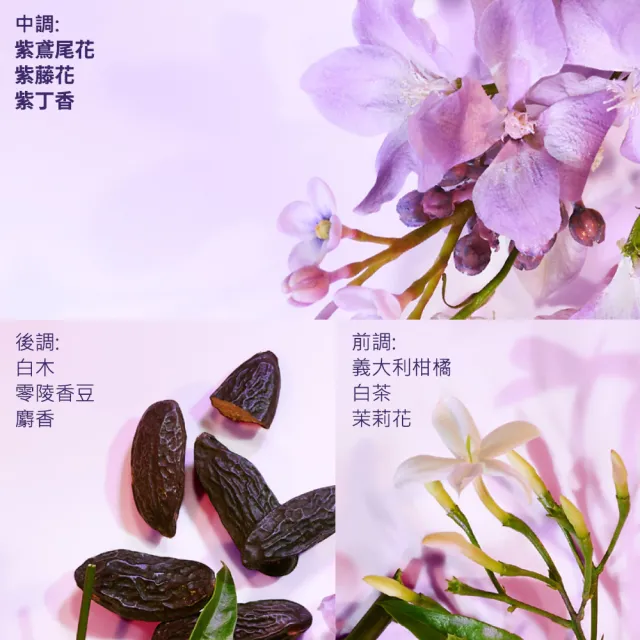 【伊麗莎白雅頓】官方直營 白茶紫鳶尾香水50ml