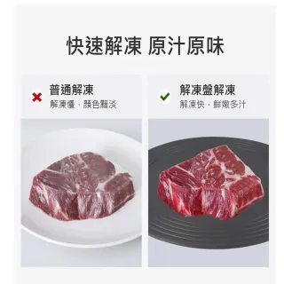 【ROYAL LIFE 皇室生活】多功能安全防燒黑解凍導熱板-特厚大款 2入(節能防燒黑/解凍板/導熱板/退冰板)