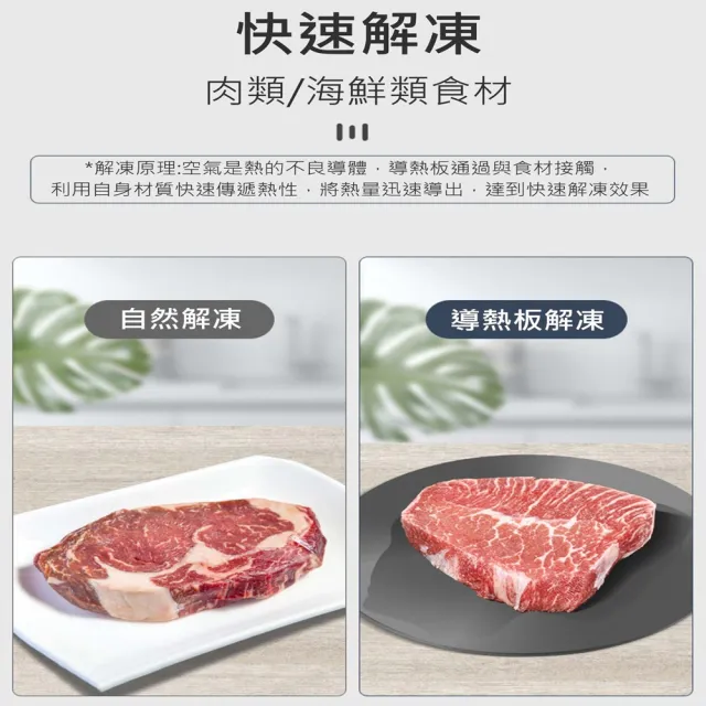 【ROYAL LIFE 皇室生活】多功能安全防燒黑解凍導熱板-特厚大款 2入(節能防燒黑/解凍板/導熱板/退冰板)