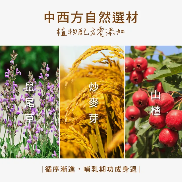 【活力媽媽】回汝茶1袋組20小包(每包2g 退奶茶首選推薦 產後退奶必備)