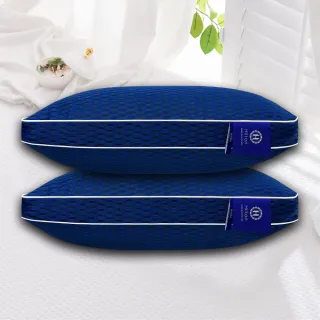 【Hilton 希爾頓】6D透氣可水洗石墨烯銀離子獨立筒枕/二入組(枕芯x2+枕套x2/透氣枕/枕頭)