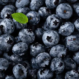 【蔬果邸家】當季野生冷凍藍莓200克x5盒