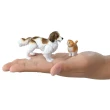 【TAKARA TOMY】ANIA 多美動物 ANIA 快樂狗狗貓貓組