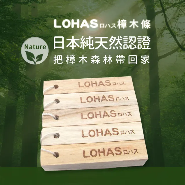 【LOHAS】日本純天然無毒香樟木條120入(鞋櫃鞋盒櫥櫃專用/除濕防黴/除蟲驅蟲/除臭天然原木清香)