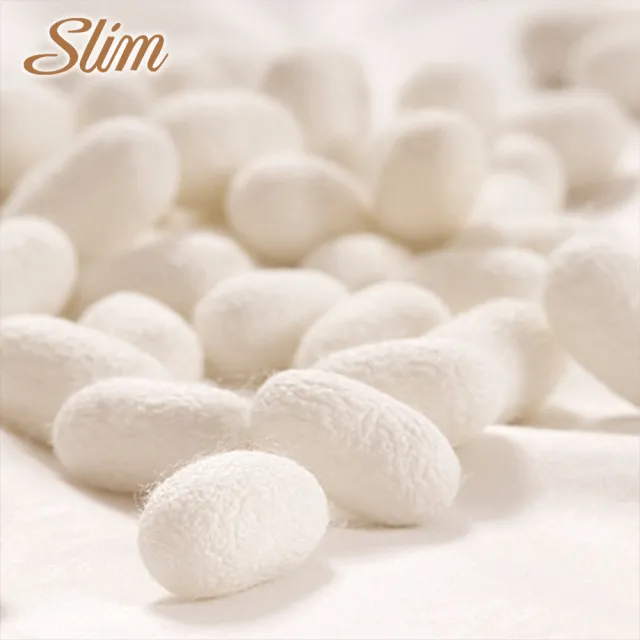 【SLIM】雙人銀離子蠶絲乳膠記憶膠獨立筒床墊5x6.2尺x27cm-加厚抗菌型