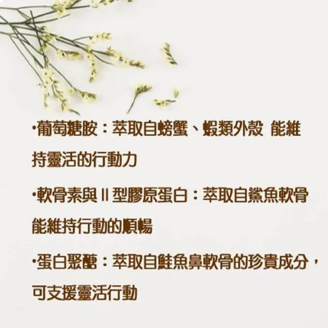 【Suntory 三得利】固力伸 60日(6錠 x 60包)