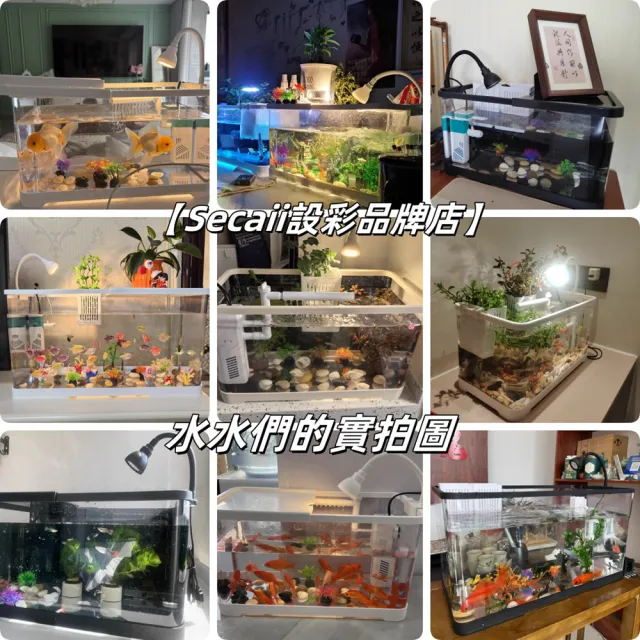 星優居家 魚缸 生態魚缸 桌面小型魚缸 懶人魚缸 壓克力魚缸 生態水族箱(30款基礎套餐)