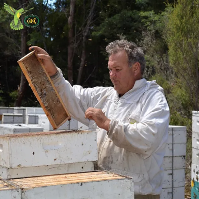 【THE TASMANIAN HONEY COMPANY】澳洲塔斯馬尼亞島尤加利生蜂蜜-1kg(Eucalyptus)