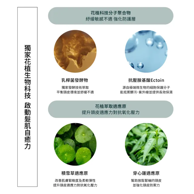 【AVEDA】蘊活淨瑕舒敏潤髮乳1000ml(全新頭皮保養 呵護髮肌齡)_附贈 壓頭