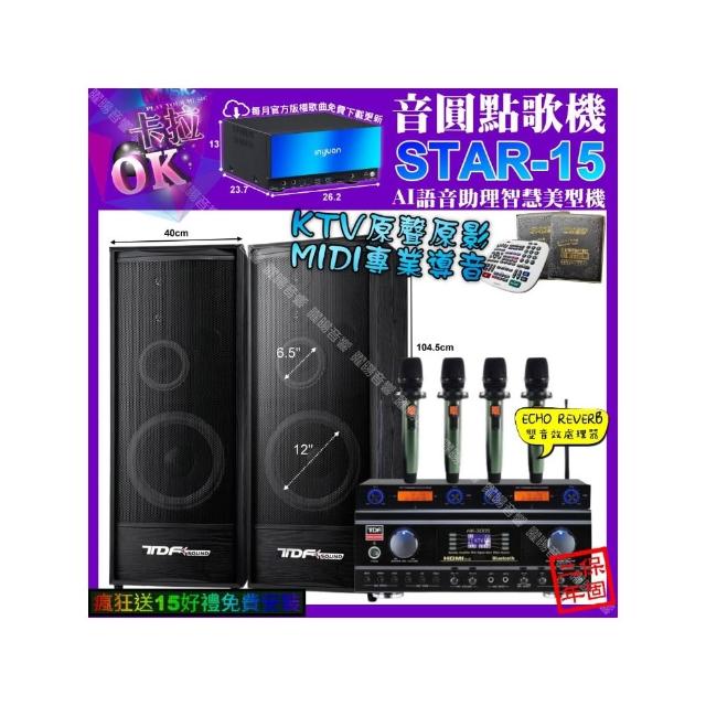 【音圓】STAR-15+TDF HK-300S+TDF K-124+YAKO AD-100X2(卡拉OK組合/音響設備)