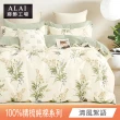 【ALAI 寢飾工場】台灣製100%精梳純棉被套床包組(單人/雙人/加大 均一價 多款任選  200織純棉)