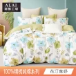 【ALAI 寢飾工場】台灣製100%精梳純棉被套床包組(單人/雙人/加大 均一價 多款任選  200織純棉)