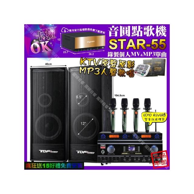 【音圓】STAR-55+TDF HK-300S+TDF K-124+YAKO AD-100X2(卡拉OK組合/音響設備)