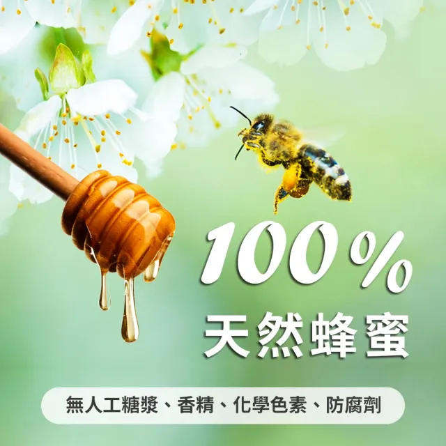 【蜂巢氏】嚴選驗證龍眼蜂蜜1800gX1桶(100%純龍眼頂級蜂蜜)