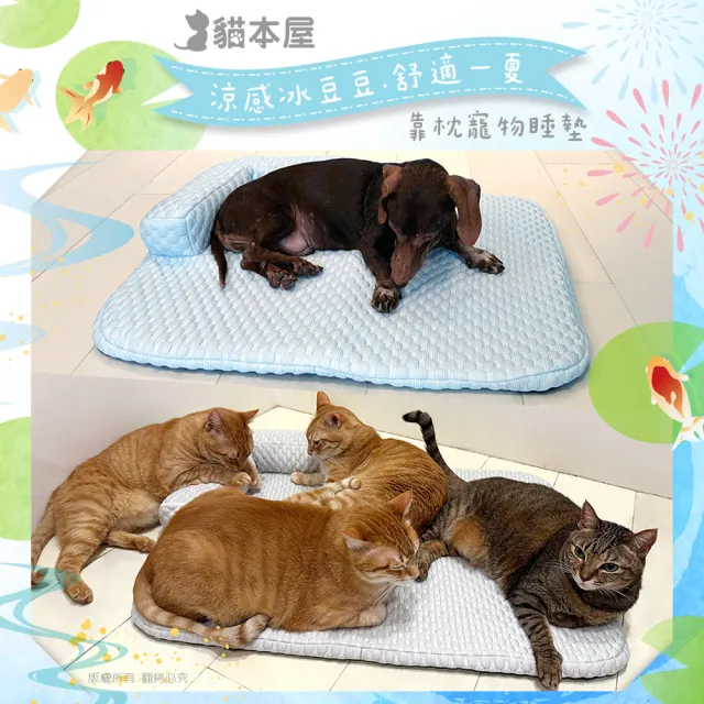 【貓本屋】冰絲涼感 可拆洗豆豆寵物睡墊涼墊(L號/65x50cm)