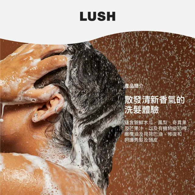 【LUSH 嵐舒】Rehab 水果特調洗髮露 500g(洗髮精/修護/亮澤/調理頭皮/溫和清潔)