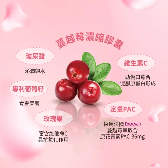 【VIGILL 婦潔】V100私密蔓越莓益生菌-日夜雙護2入組(PAC蔓越莓女性私密保健)