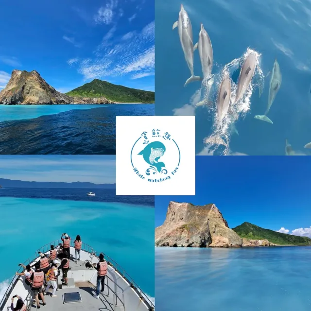 【龜山島賞鯨趣】登島+環繞宜蘭龜山島八景(二合一)假日不加價(歐享券玩樂/生活券)