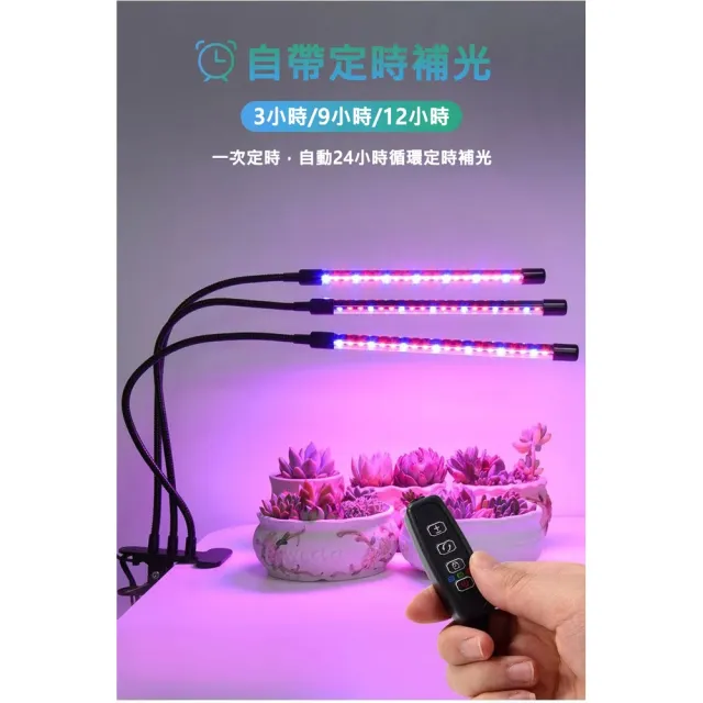 【ROYAL LIFE 皇室生活】LED可定時植物生長燈-三管(多肉植物燈/水草燈/花卉燈/夾燈/燈條/檯燈)