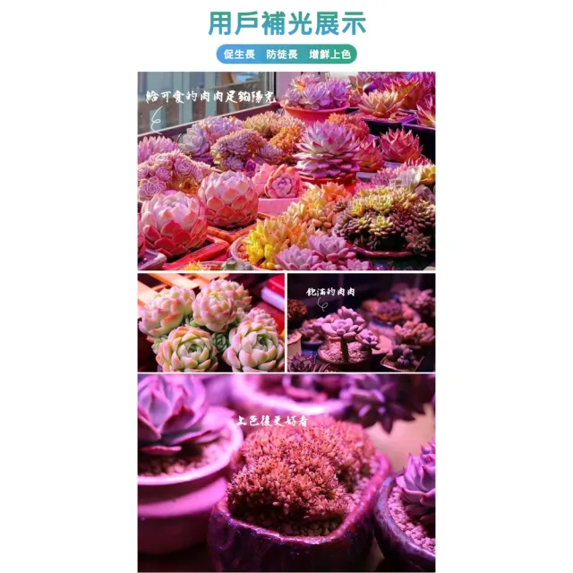 【ROYAL LIFE 皇室生活】LED可定時植物生長燈-三管(多肉植物燈/水草燈/花卉燈/夾燈/燈條/檯燈)
