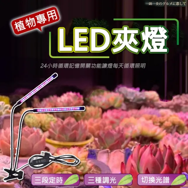 【ROYAL LIFE 皇室生活】LED可定時植物生長燈-三管(多肉植物燈/水草燈/花卉燈/夾燈/燈條/檯燈)