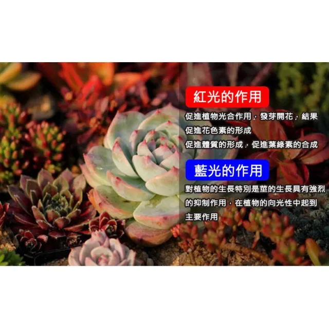 【ROYAL LIFE 皇室生活】LED可定時植物生長燈-四管 2入組(多肉植物燈/水草燈/花卉燈/夾燈/燈條/檯燈)