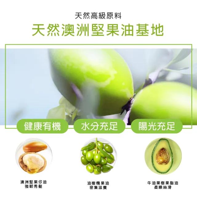 【洛黛詩】香水頭髮護髮精油 60ml -5入組(髮油 護髮素 護髮膜 染燙 香氛 乾燥髮救星)