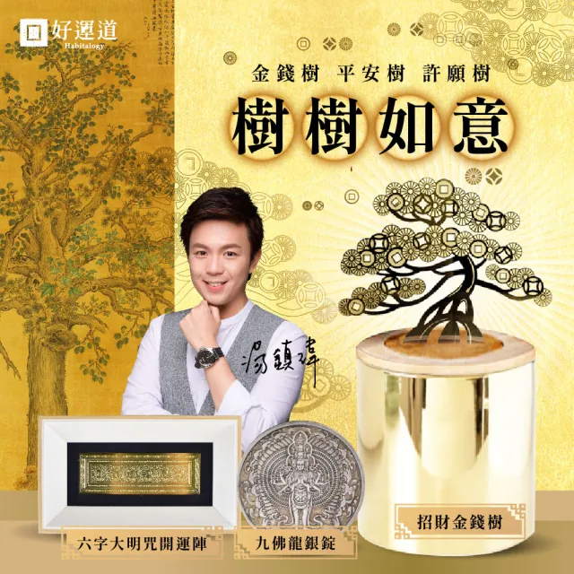 【好運道】金錢樹年中轉運平安造庫組(招財 富貴 轉運 開運)