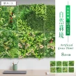 【dayneeds 日需百備】仿真草植-自然綠境 50cm正方形 混合款05(植生牆/仿真植物牆/植草磚/植物牆)