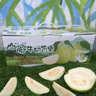 【黑貓嚴選】彰化社頭山腳 陳家牛奶芭樂-珍珠芭樂1盒(3kg/盒)