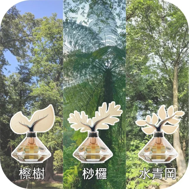 【Gdesign】Aroma-葉紙 森林擴香組(附 大地精油100ml、擴香葉紙5片 薰香 精油瓶 原廠公司貨、)