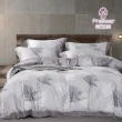【Prawear 巴麗維亞】60支 天絲萊賽爾/天絲棉 四件式兩用被床包組(雙人/加大/特大花色任選/涼被/冷氣毯)