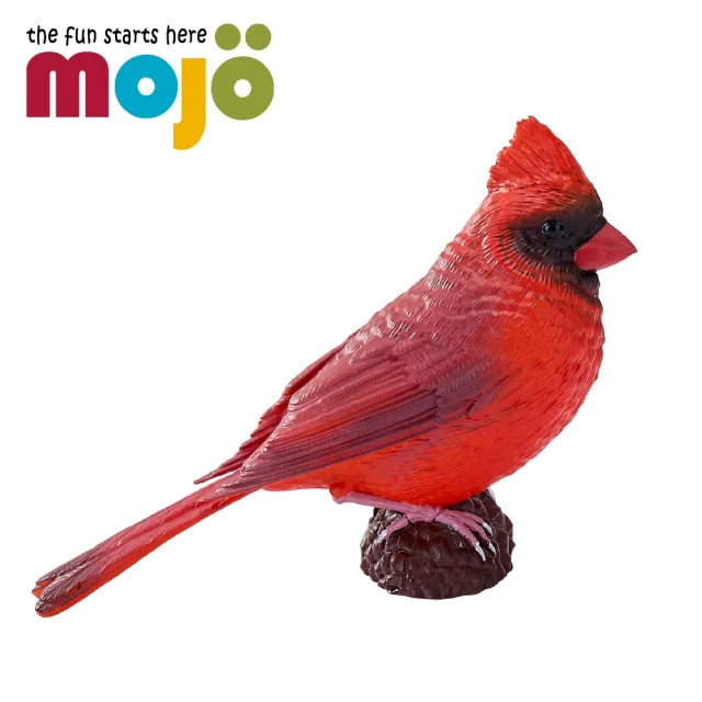 【Mojo Fun】動物模型-紅雀