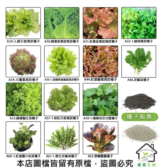 【蔬菜工坊】新手生菜類種子系列-各包裝數量詳見內文及圖片說明