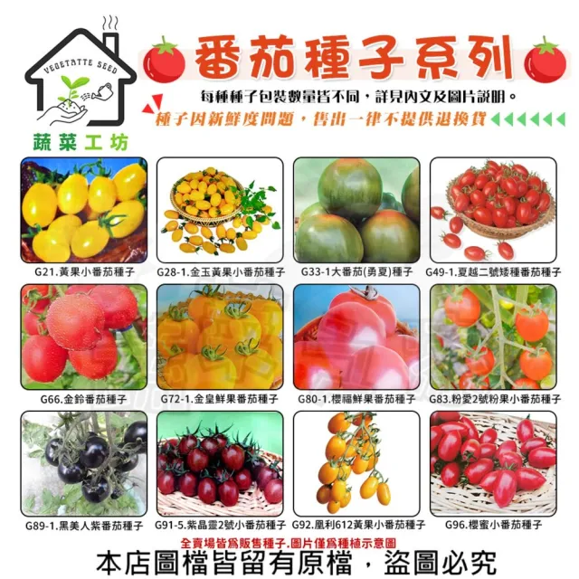【蔬菜工坊】番茄 蕃茄種子系列-各種包裝數量詳見內文及圖片(小番茄 大番茄 紫番茄 黃果小番茄)