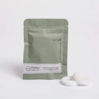 【hoi!LAB】台灣百岳香氛車用香氛補充片-2入組(多款味道可選)