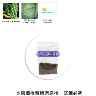 【蔬菜工坊】結球及花菜類種子系列-各種包裝數量詳見內文及圖片(花椰菜 青花菜 萵苣 高麗菜 美生菜)