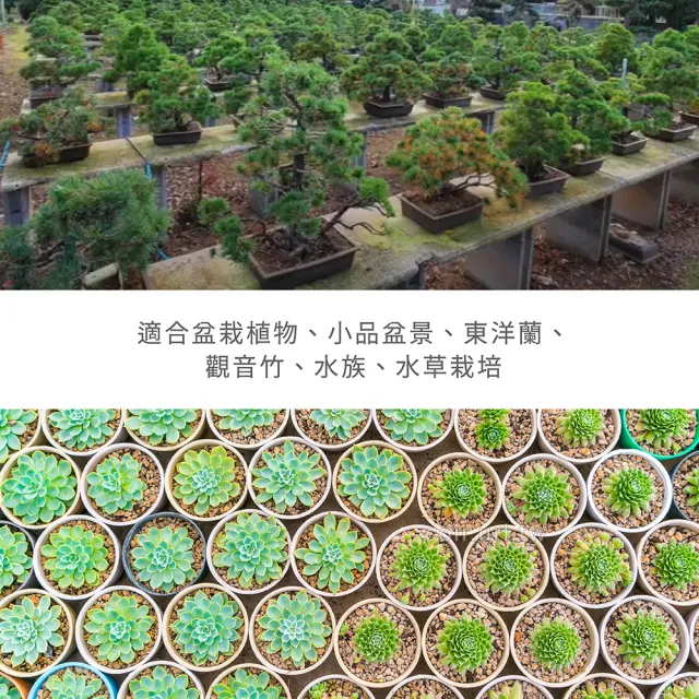【瘋狂植物社】日本赤玉土2公升裝-大粒15~25mm(盆栽植物、小品盆景、東洋蘭、觀音竹、水族、水草栽培)