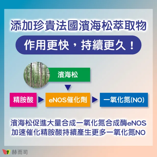 【赫而司】日本左旋精胺酸濱海松樹皮鋅2罐(共180顆阿吉靈精氨酸一氧化氮長效升級配方男性剛強勇健更勝瑪卡)