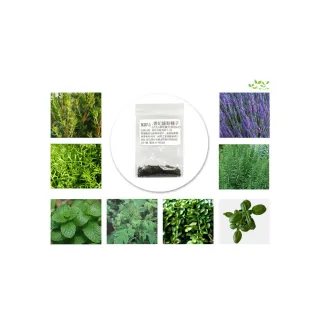 【蔬菜工坊】香草類種子系列-各包裝數量詳見內文及圖片(貓薄荷 羅勒 百里香 洋甘菊)
