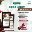 【KLORANE 蔻蘿蘭官方直營】植萃暢銷洗護組(洗髮精+護髮素 任選)