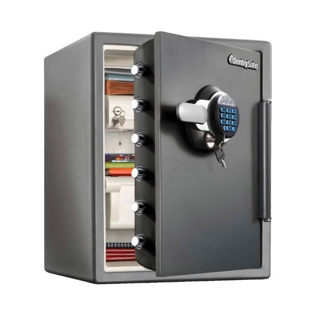 SENTRYSAFE STW205GYC