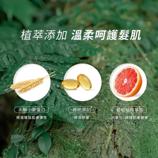 【Aromase 艾瑪絲】5α捷利爾洗髮沐浴露1000ml(洗髮/潔顏/沐浴/3in1)